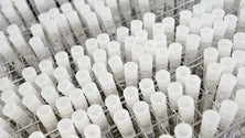 Imagem de Polícia Judiciária faz buscas domiciliárias e a laboratórios clínicos