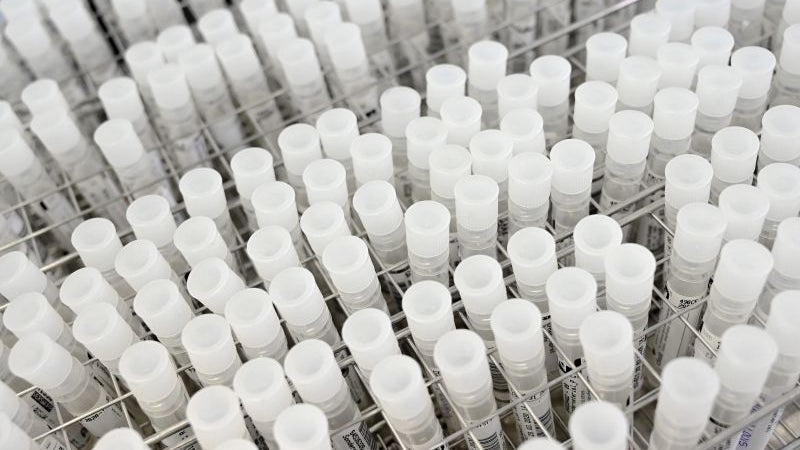 Imagem de Polícia Judiciária faz buscas domiciliárias e a laboratórios clínicos
