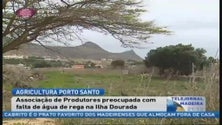 Imagem de Falta de água preocupa agricultores do Porto Santo