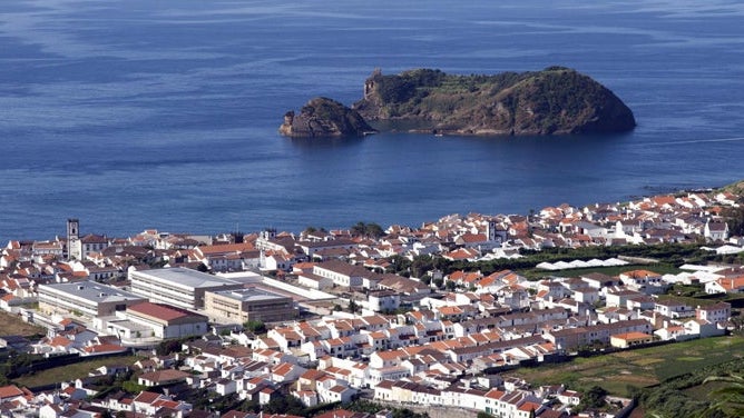 Cientistas descobrem floresta de corais negros nos Açores