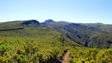 Imagem de Ainda não há sinais do cidadão alemão desaparecido na serras da Calheta