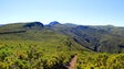 Imagem de Ainda não há sinais do cidadão alemão desaparecido na serras da Calheta