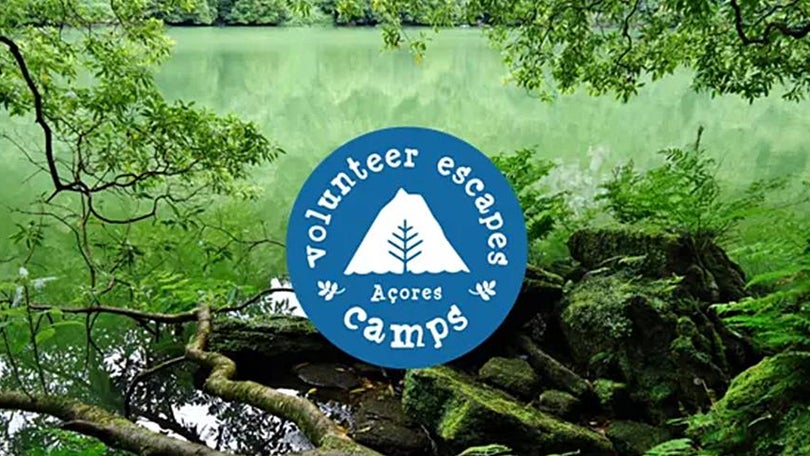 Imagem de Volunteer Escapes