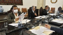 Imagem de Administração da Empresa de Eletricidade da Madeira ouvida esta sexta-feira no Parlamento Regional (Vídeo)
