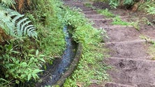 Imagem de Atleta morre durante prova de trail (áudio)