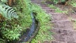 Imagem de Atleta morre durante prova de trail (áudio)