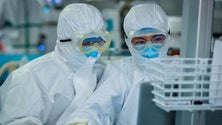 Imagem de Covid-19: Nova variante detetada no Reino Unido «não é provável que afete eficácia da vacina»