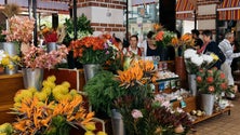 Imagem de Floristas do Mercado dos Lavradores já têm novas bancas
