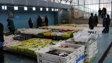 Imagem de Covid-19: Leilões de pescado reduzidos e taxa de acostagem suspensa