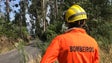 Imagem de Chamas no Jardim da Serra e nos Canhas consumiram área de mato e eucalipto (Vídeo)