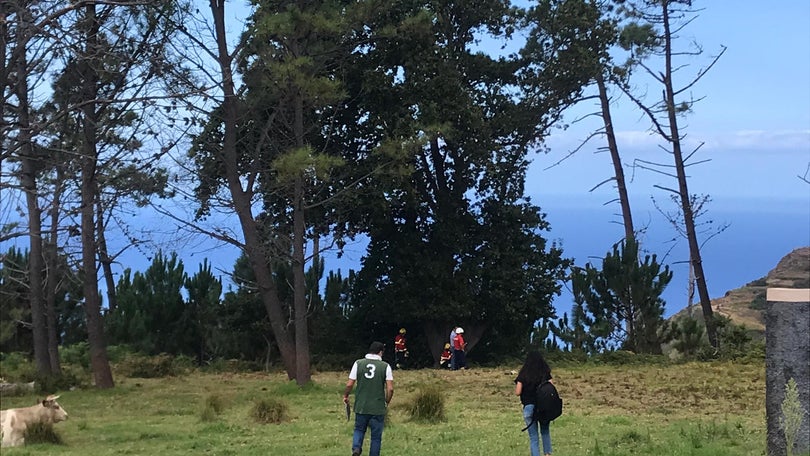 Imagem de PJ investiga causas do incêndio nos Prazeres