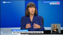 Imagem de Menos de uma centena de madeirenses fizeram o testamento vital (vídeo)