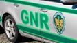 Imagem de GNR apreende na Madeira cerca de 1.500 relógios, óculos e outro material contrafeito