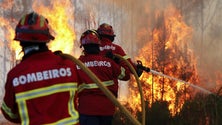 170 Candidatos à Escola de Bombeiros do Funchal