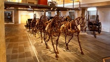 Imagem de Museus são instrumentos de desenvolvimento económico (Vídeo)