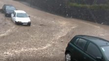 Imagem de Mau tempo: Situação caótica na Ponta Delgada