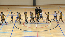 Imagem de Madeira SAD divide liderança com o Benfica (vídeo)