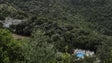 Imagem de 1,2 milhões de euros para conservação da natureza
