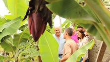 Imagem de Paulo Cafôfo defende agricultura rentável e com futuro