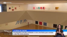 Centro de estudos para desenvolver o espólio de Lourdes de Castro (vídeo)