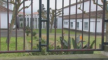 Imagem de Praga de ratos fecha escola em Ponta Delgada (Vídeo)