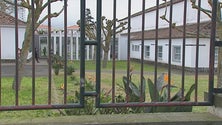 Praga de ratos fecha escola em Ponta Delgada (Vídeo)