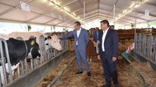 Imagem de Feira Agrícola Açores 2020 decorre em São Miguel (Vídeo)