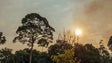 Macaronésia quer aumentar capacidade de adaptação às alterações climáticas