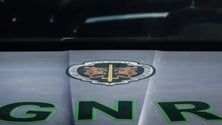 Imagem de GNR registou 1.105 crimes de violência no namoro