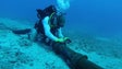 Imagem de Anacom alerta para urgência da substituição de cabos submarinos de telecomunicações