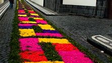 Imagem de Tapetes de flores voltam a colorir Ponta Delgada (Vídeo)