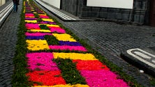 Tapetes de flores voltam a colorir Ponta Delgada (Vídeo)