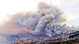 Incêndios 2016: Madeira aplicou totalidade do fundo de solidariedade