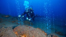 Cientistas dos Açores estudam impacto da mineração no Mar (Som)