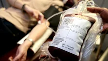 Imagem de Região precisa de renovar o quadro de cerca de 3000 dadores de sangue (áudio)