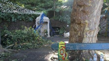 Imagem de Juíza do caso da árvore do Monte visitou esta sexta-feira o local do acidente (Vídeo)