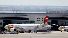 Imagem de Venezuela: Comunidade pede a Caracas que autorize a TAP a fazer voos diretos para Portugal
