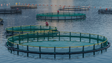 Governo garante que aquacultura do Arco da Calheta não vai ser ampliada