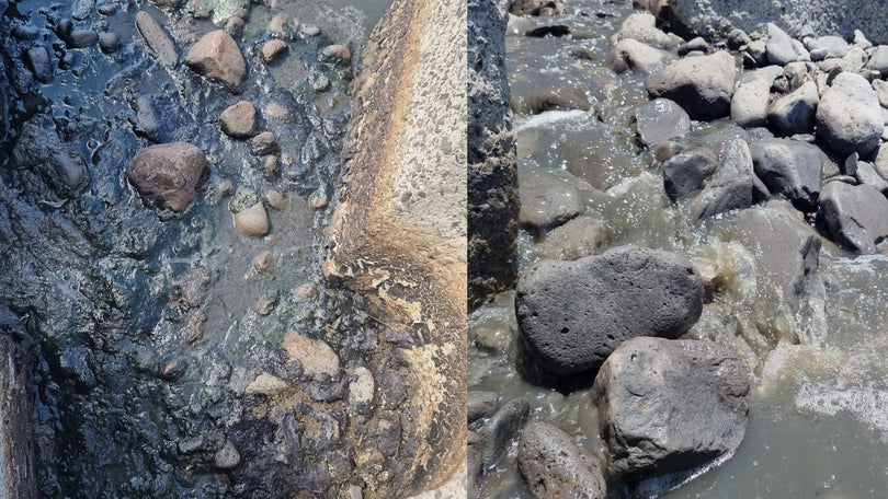 Imagem de Calheta: Descarga de águas residuais motiva queixa do PS