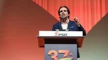 Imagem de Miguel Albuquerque é aclamado líder do PSD/Madeira este fim de semana