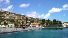 Imagem de JPP acusa oposição de boicotar reabilitação urbana em Santa Cruz