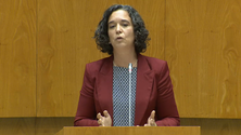 Sofia Ribeira propõe integrar os professores no quadro (Vídeo)