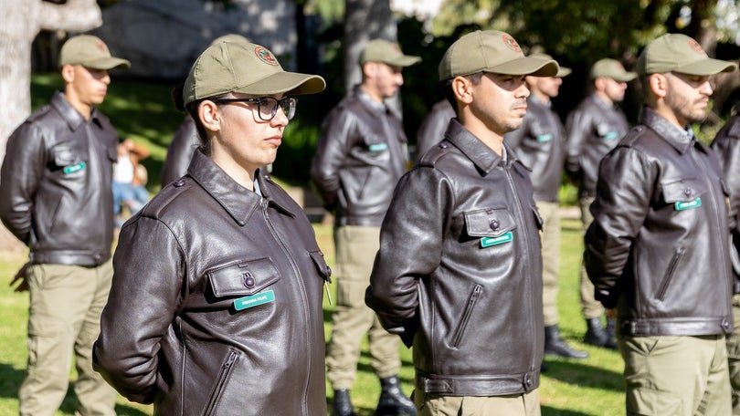 Imagem de Publicado em DR regime que equipara guardas-florestais das ilhas aos do continente