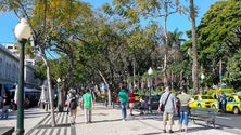 Imagem de Trânsito vai estar condicionado 15 dias na Avenida Arriaga