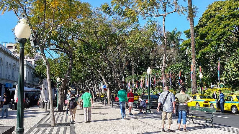 Imagem de Trânsito vai estar condicionado 15 dias na Avenida Arriaga