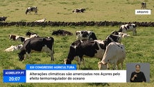 Congresso da Agricultura dos Açores abre painel sobre alterações climáticas [Vídeo]