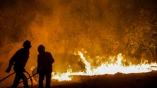 Imagem de Fogo em Vila Real encerra autoestrada