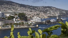 Imagem de 7% da população ativa da Madeira está em lay-off (Vídeo)