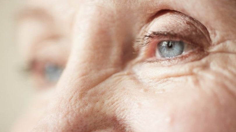 Imagem de Nova descoberta sobre a doença da retina
