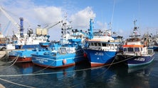 Imagem de Covid-19: Governo Regional aprova apoio de 1,25 ME ao setor das pescas